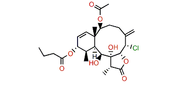 Briarenol U